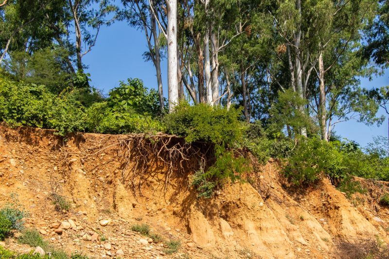 Erosion Control Grading