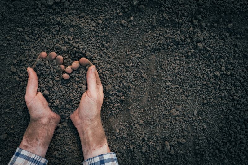 Earth Moving Equipment & Services Overview